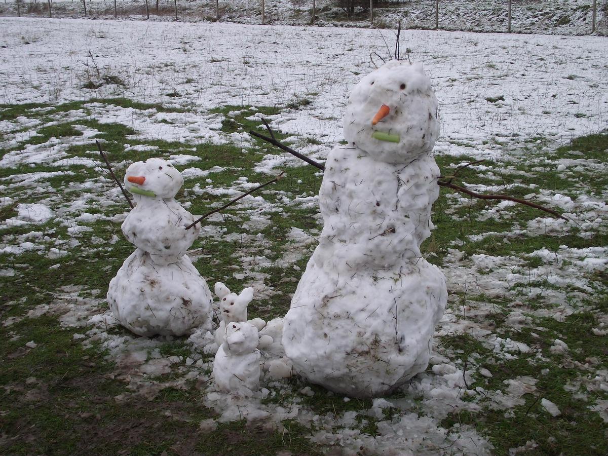 Snow figures